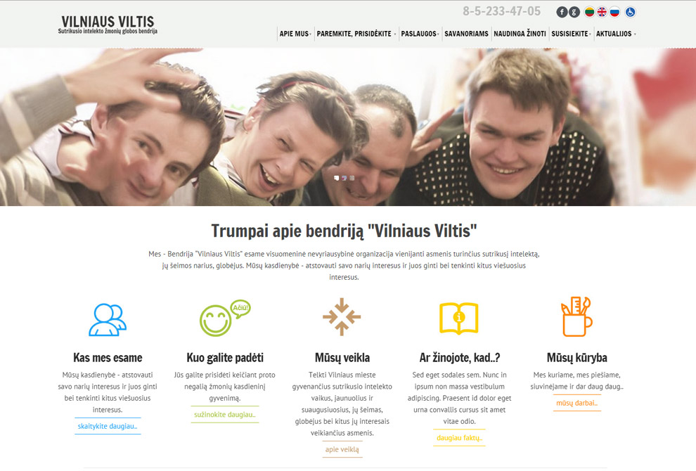 Vilniaus viltis web design